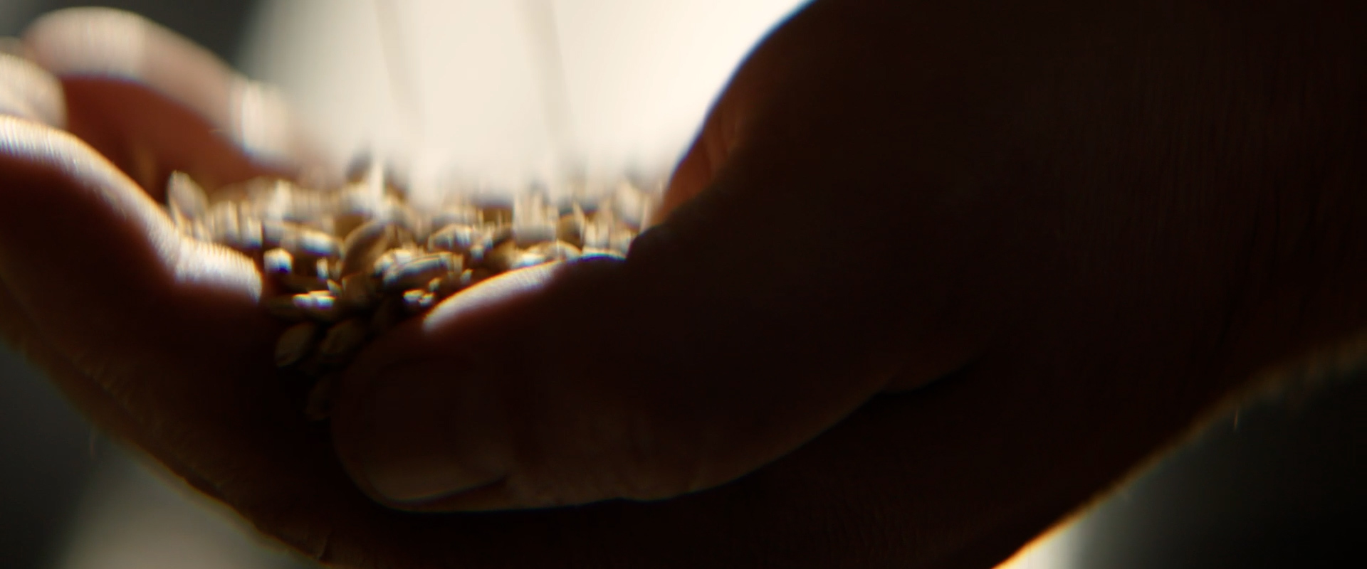 VDC_14